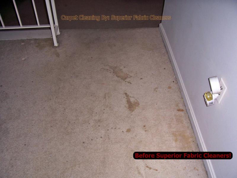 soiled traffic area in off white dining room carpet before carpet cleaning pic